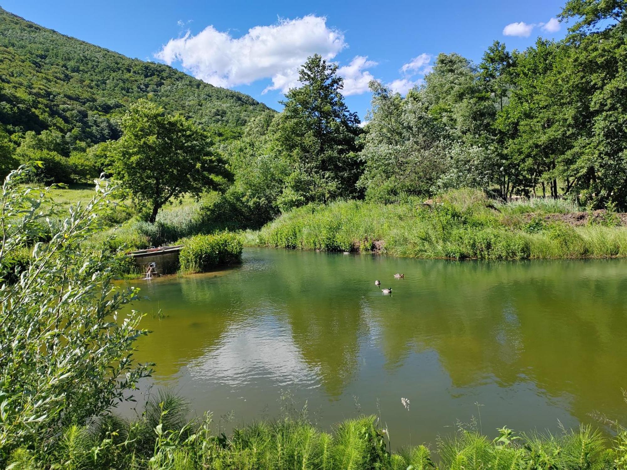 Apartments Hills Cukovi Dış mekan fotoğraf