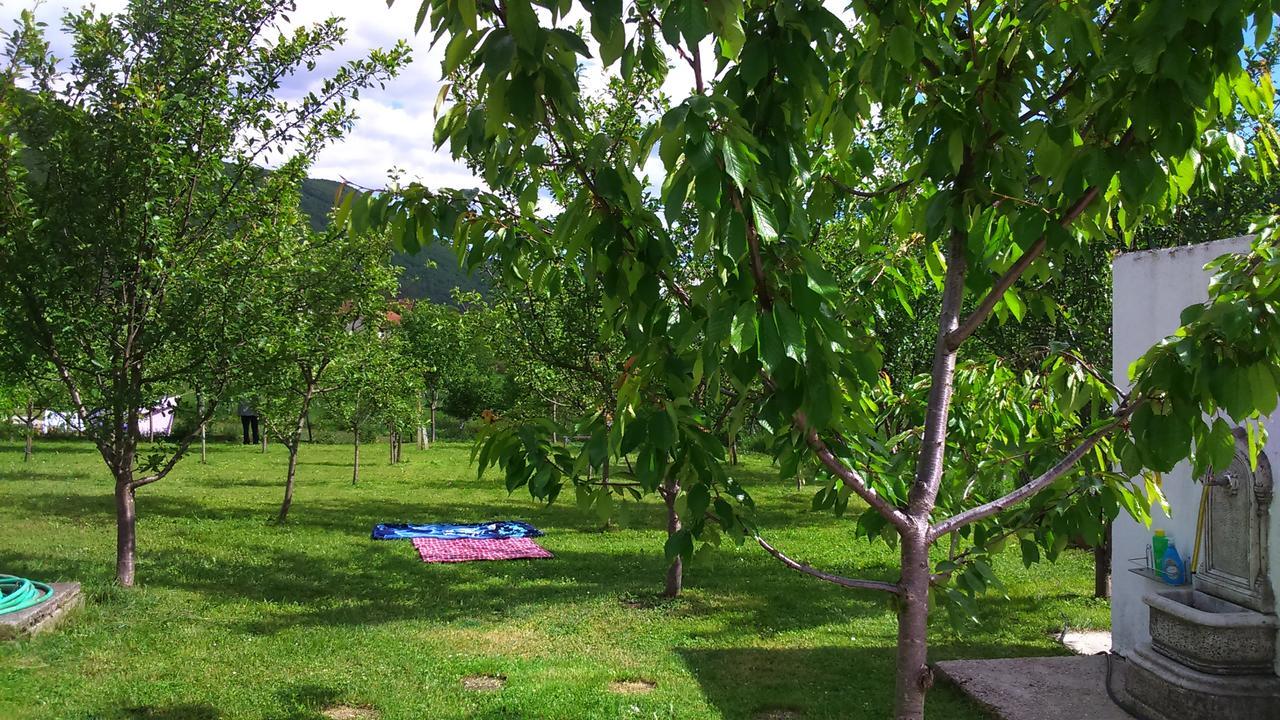 Apartments Hills Cukovi Dış mekan fotoğraf